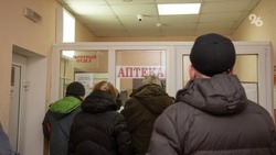 На Ставрополье свиной и гонконгский грипп пошли на спад