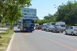 На полосах для автобусов в Астрахани проходит опиловка деревьев