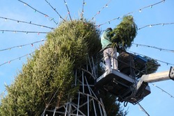  В Астрахани у Мостстроя установят живую ель