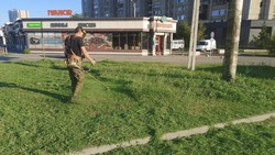 Астрахань очищают от сорняков