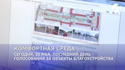 30 мая в Астраханской области завершается голосование за объекты благоустройства 
