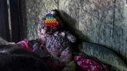 Западные СМИ готовят новые провокации против России