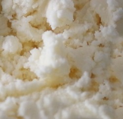 В Астрахани выявлен фальсифицированный творог