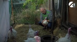 Птичий бизнес астраханца развивается благодаря региональной программе