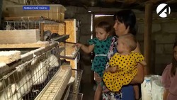 Астраханская многодетная семья выращивает домашних птиц