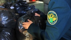 В Астраханскую область пытались ввезти незаявленных товаров на 300 тысяч рублей