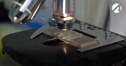 Астраханский медуниверситет получит 63 млн рублей на разработку методов борьбы с инфекциями