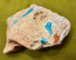 Астраханские археологи обнаружили отпечаток кошачьей лапки XIV века