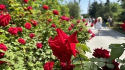 10 июля астраханцев ждёт жара