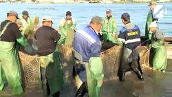 Астраханские рыбаки надеются на удачную осеннюю путину