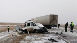 В Астраханской области столкнулись два грузовика
