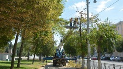 В Астрахани обрезают деревья и моют памятники