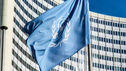 ООН возместила ущерб по решению суда ЛНР