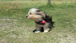 В Астраханской области обещают ветер с порывами до 15-20 м/с