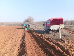 В Астраханской области стартовал сезон лесокультурных посадок 