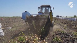 В Астраханской области продолжается сбор урожая