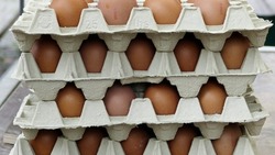 Цены на яйца в Нижнем Поволжье бьют рекорды