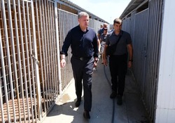 Губернатор Астраханской области посетил приют для животных в Наримановском районе
