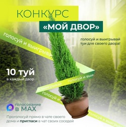 Астраханцы могут выиграть деревья для благоустройства дворов