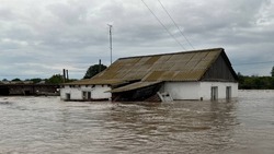Сельчане Саратовской области пострадали от наводнения