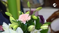 Какая погода будет в Астраханской области 8 марта