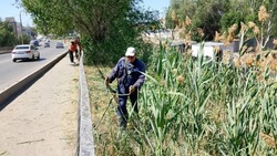 В Астрахани из-за жары усиливают противопожарные меры