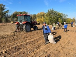 В Астраханской области высадили джузгун для защиты почв