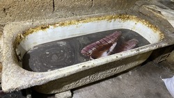 Астраханскую семейную пару оштрафовали за незаконную продажу рыбы