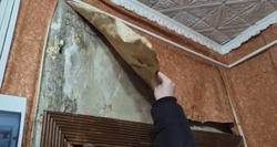 Астраханский Следком проверит нарушение прав жильцов дома с протекающей кровлей