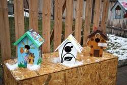 Астраханцы могут посоревноваться в изготовлении скворечников