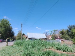 В этом году в Астрахани сорную траву будут убирать до морозов